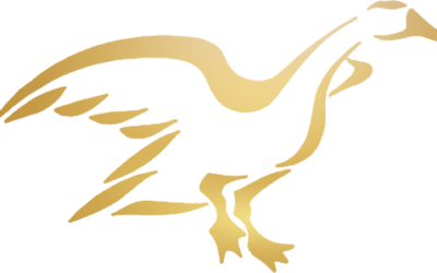 “Premium Halal Duck – The New Foundation of Health-Conscious Luxury Nutrition”